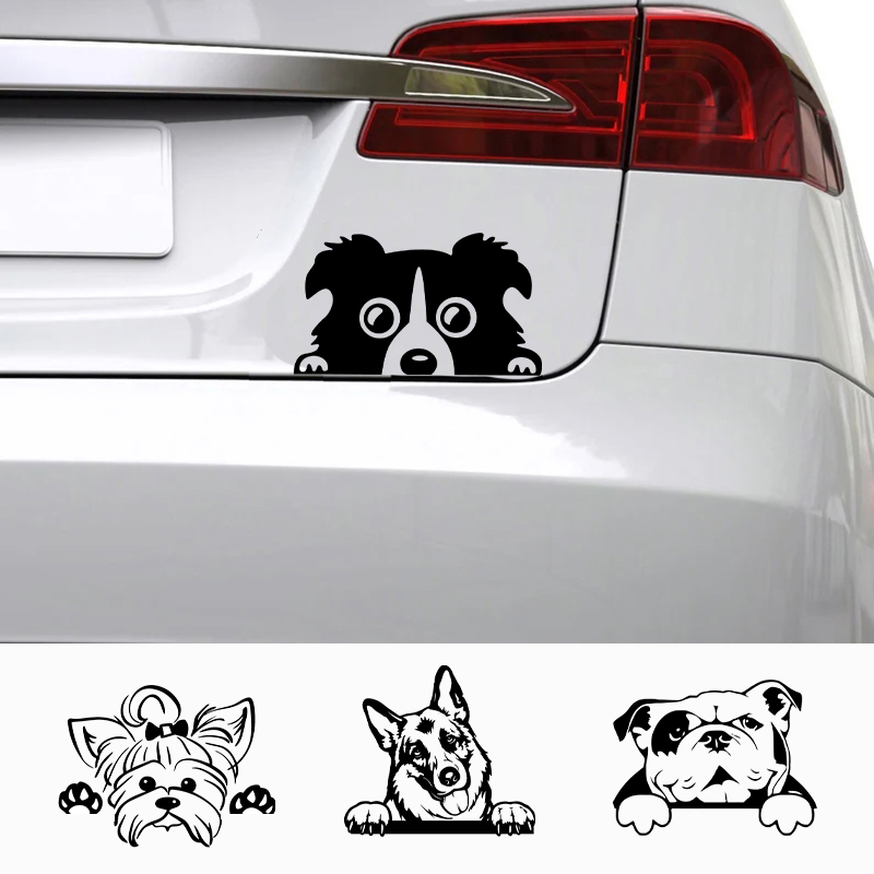 Interior Design Magazine - Cars Accessorie Decals Funny Dog With