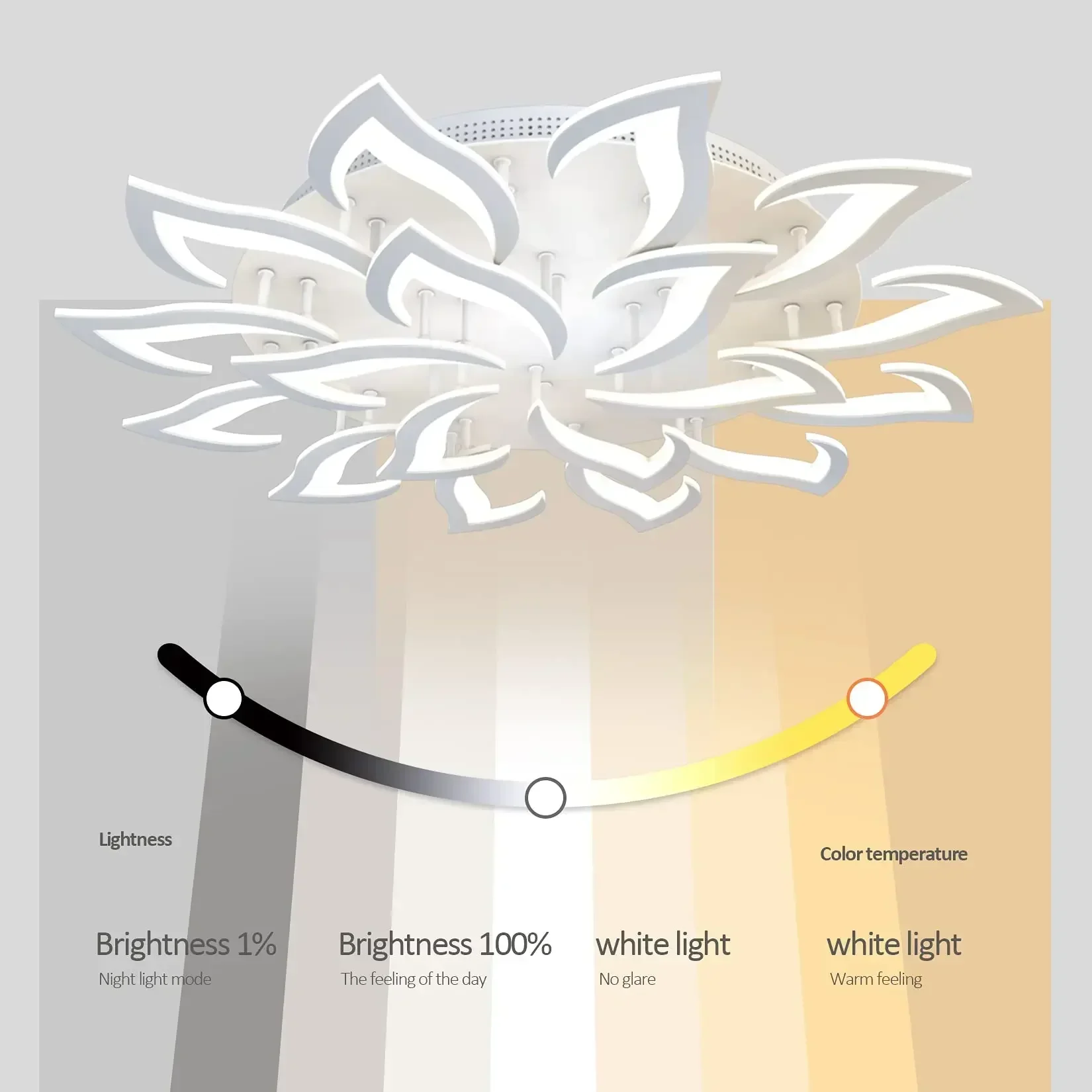 Designer LED Petal Chandelier  - Interior Design Kitchen And Living Room 评论和价格
