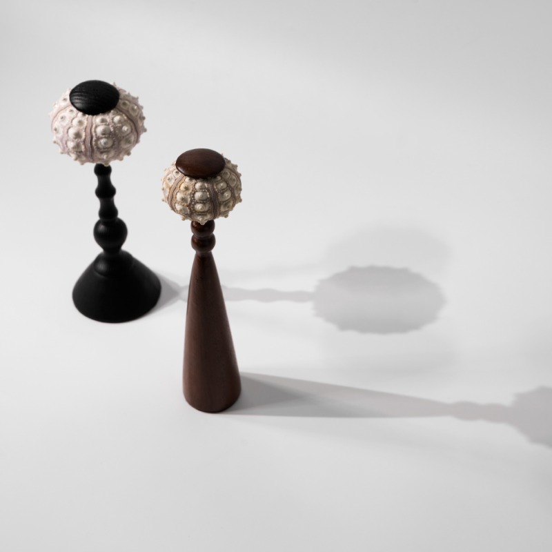 Creative Conch Sculpture Handc - Interior Design Exhibition 评论和价格