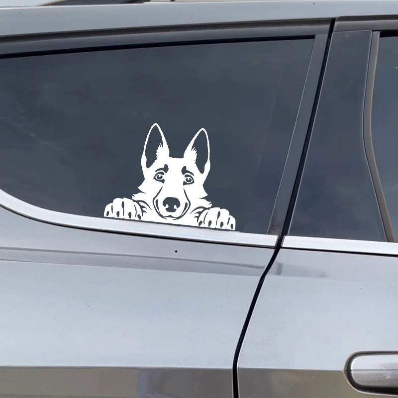 Cars Accessorie Decals Funny D - Interior Design Magazine 评论和价格